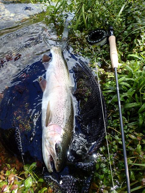 9333AC6E-0009-40C6-8860-5488C1CE88B7