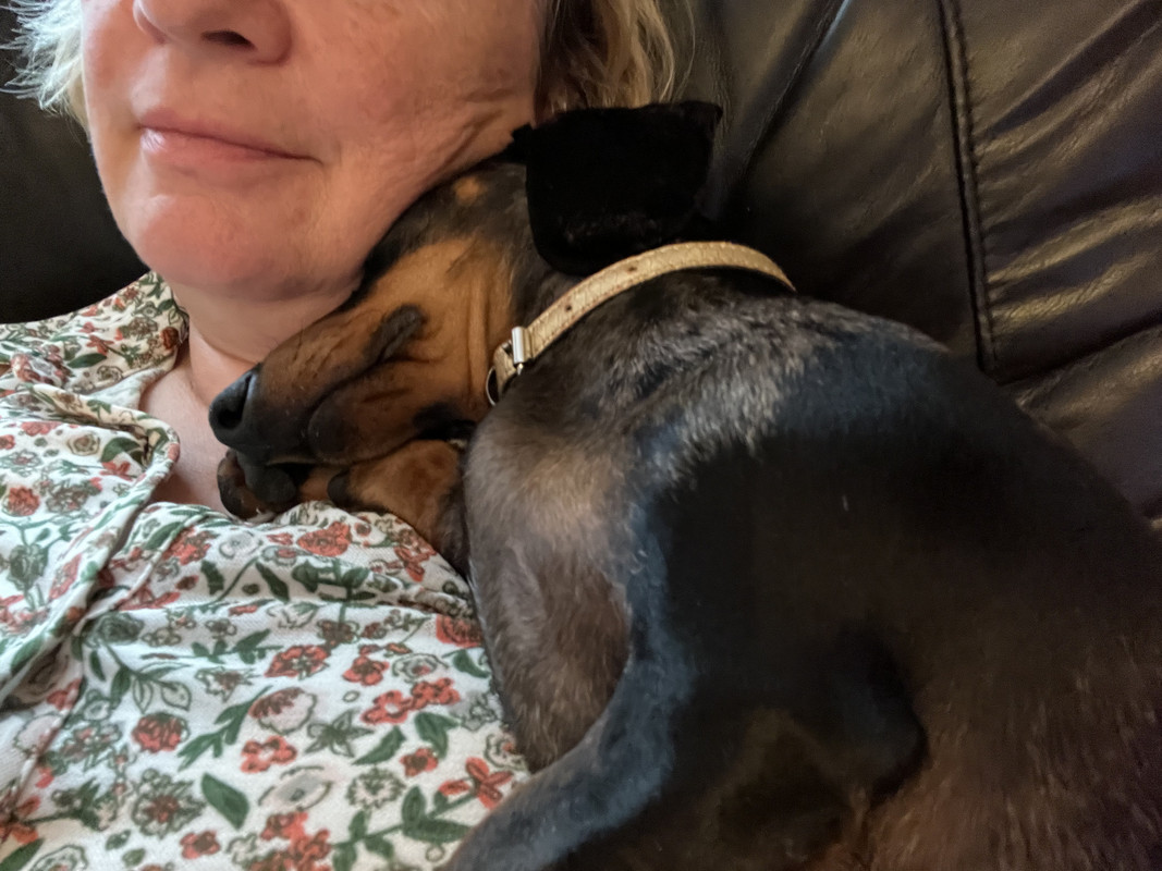 [Image: 532-C26-B8-F6-D3-4-F23-81-EA-64-C508-C221-CA.jpg]