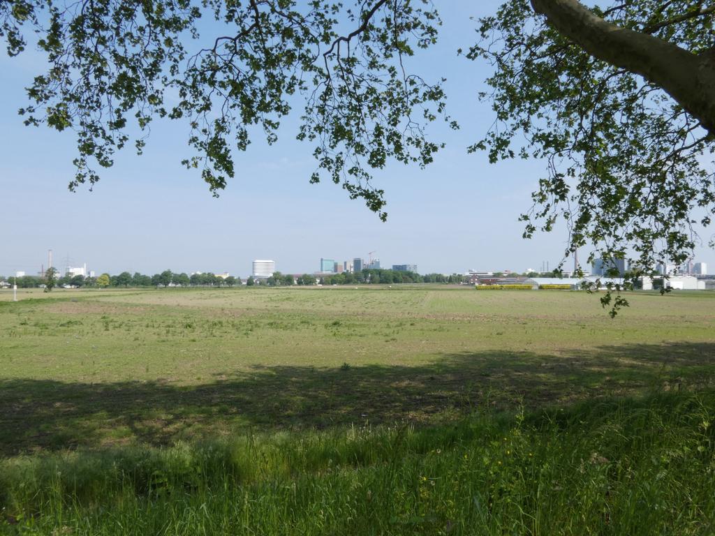 P1020001