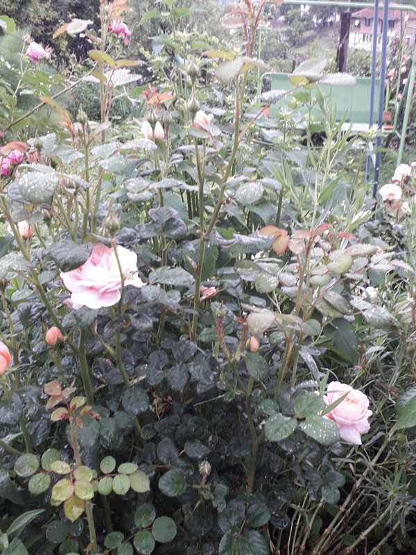 20190524_092558
