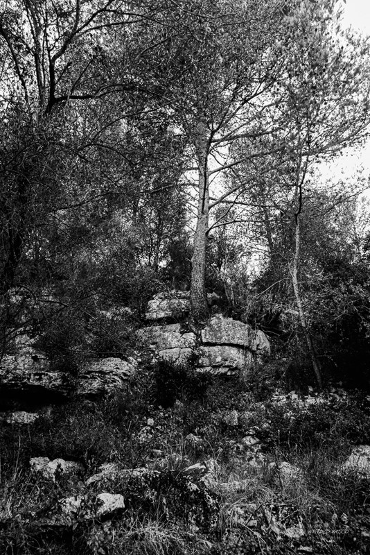 Hive-Vinhas-Ruins-Bn-W-03.jpg