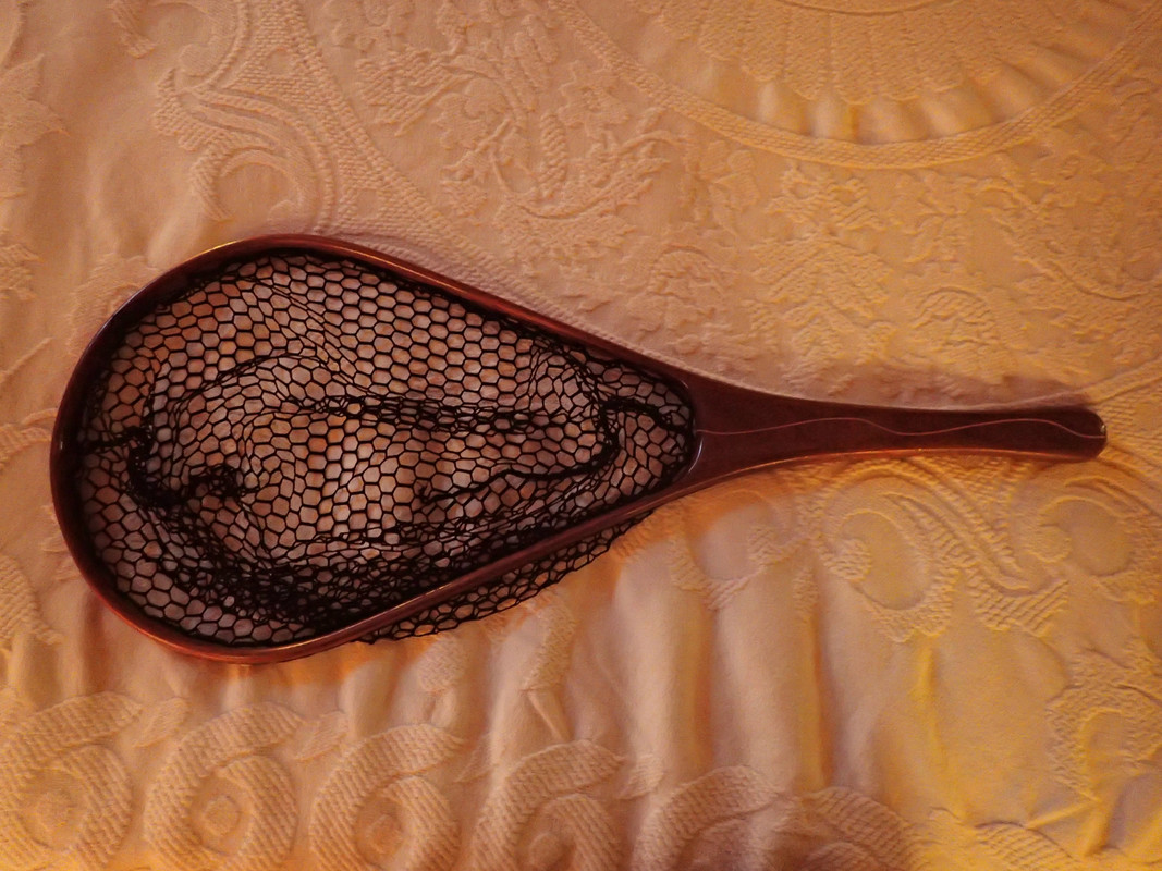 42FFBCCE-6931-4774-A70A-77CDEA29997A