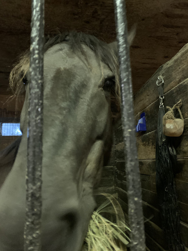 090E12E9-4B35-460E-A2DA-A3CC00A6016C