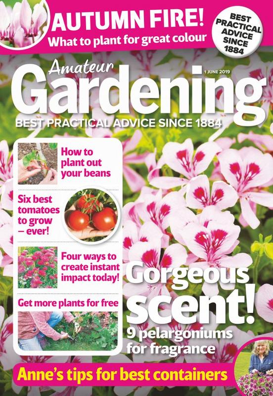 Amateur-Gardening-11-June-2019-cover.jpg