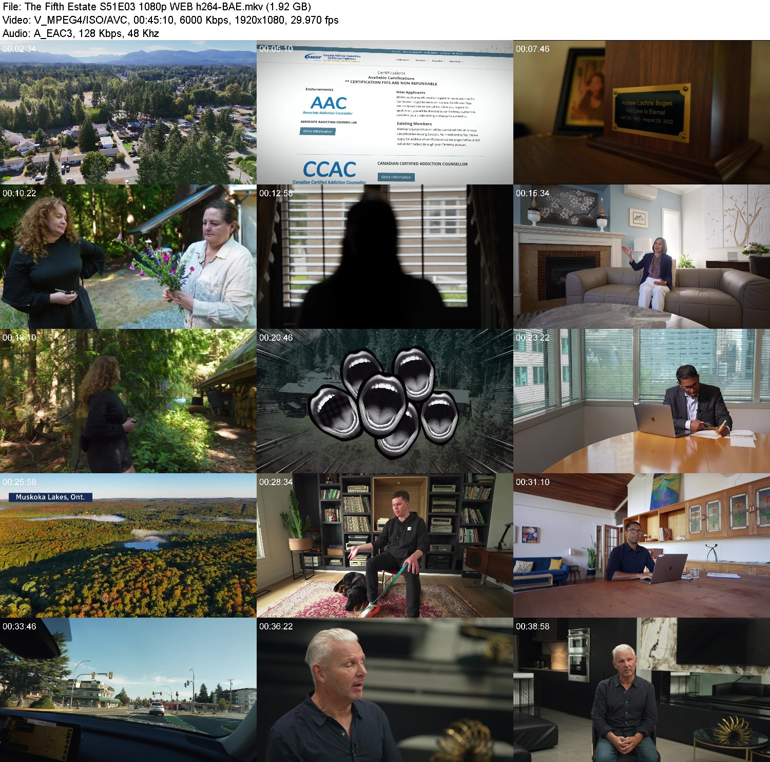 [Image: dm5egt21obj3.jpg]