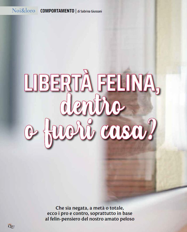 QuattroZampe Dic 2022-Gen 2023 (9)