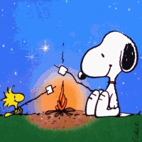 peanuts006-feu-de-camp.gif