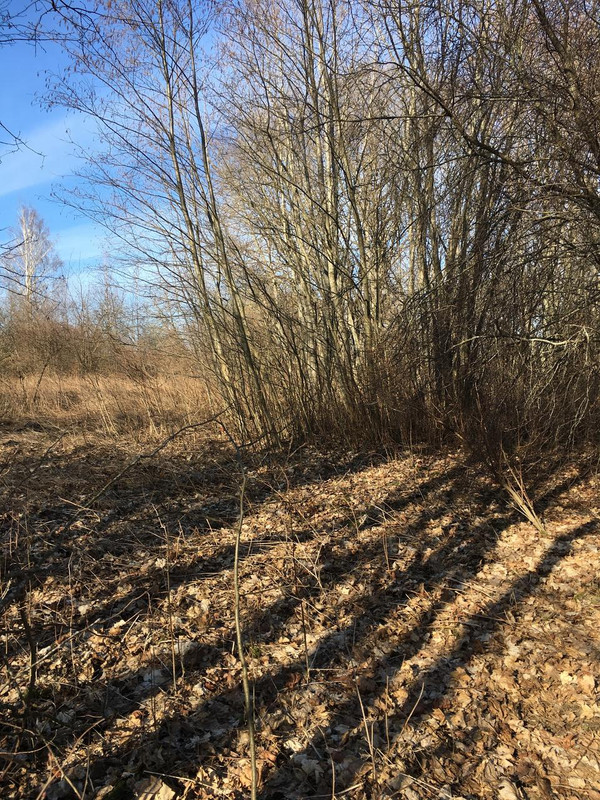 3C7F66DD-29BB-4AFB-B0BC-4081594B97E5