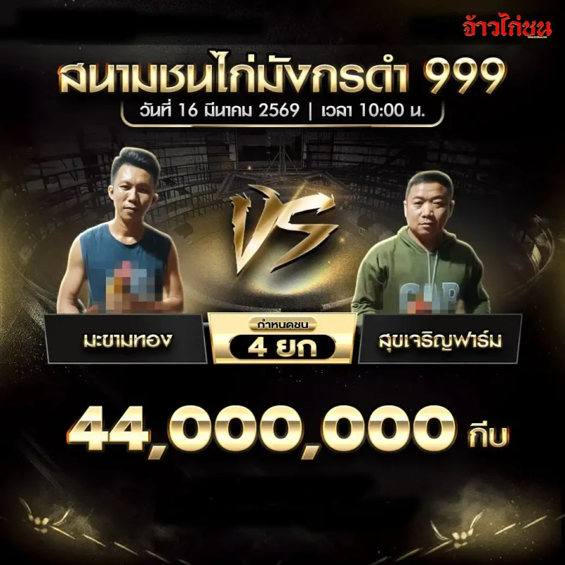โปรแกรมไก่ชน คู่มะขามทอง พบ สุขเจริญฟาร์ม สนามชนไก่มังกรดำ999 วันจันทร์ที่ 16 มีนาคม 2569