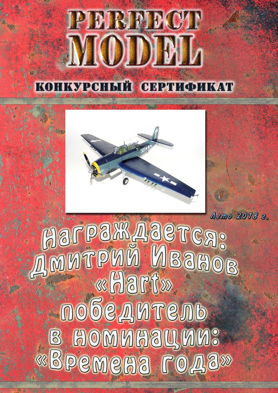 Летний диплом авиа