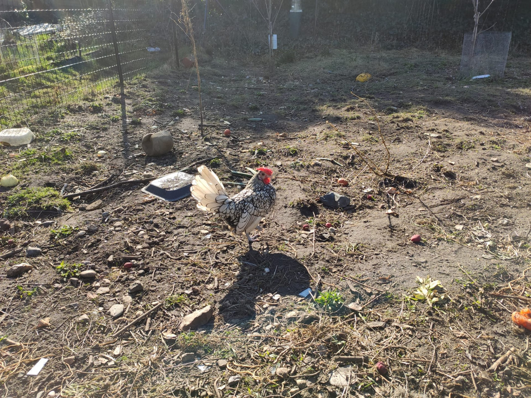 IMG-20210301-WA0003