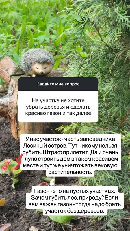 Innavolovicheva Instasaved 30 06 2025 1 Postimages