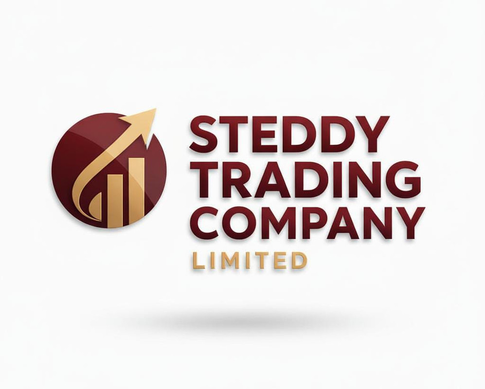 Steddy Trading Company Limited team discussing plans