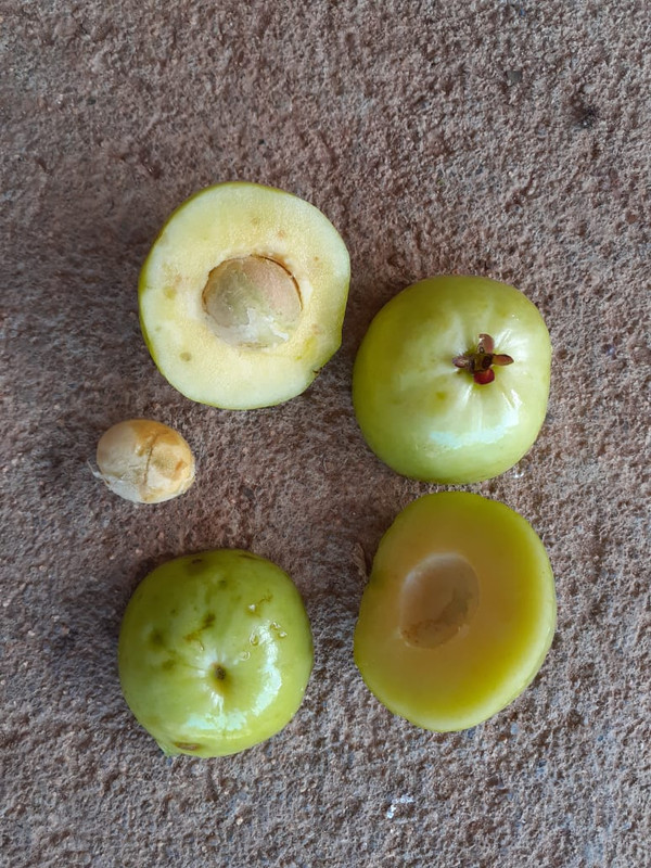 WhatsApp Image 2020-12-08 at 20.44.46 (16)