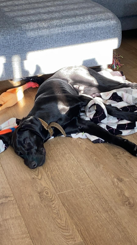 98B1DE57-B63D-4655-93ED-8C02F0C148BD