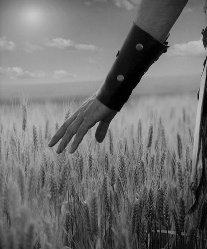 Screenshot_20240307_224554_Pinterest