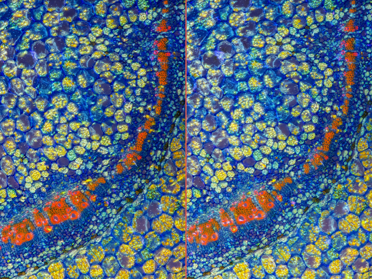 Stereo 3 5 Cross TPnd 4K
