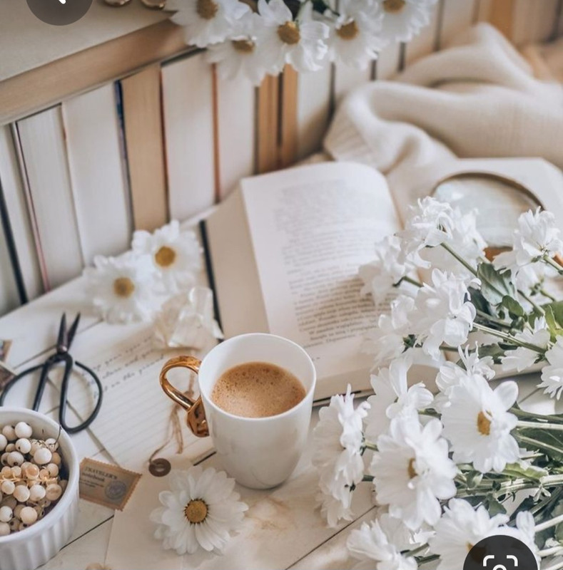 Screenshot_20230616_132042_Pinterest