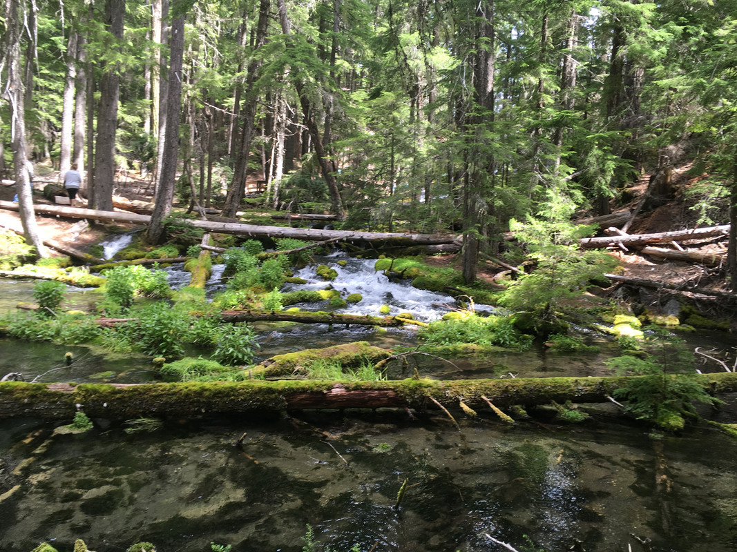 788CA318-E7DA-4912-8BA7-3722745C52BF