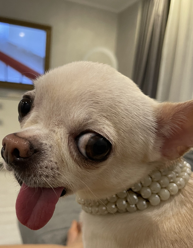 59BE182C-0247-4FC6-9430-764E9712E700