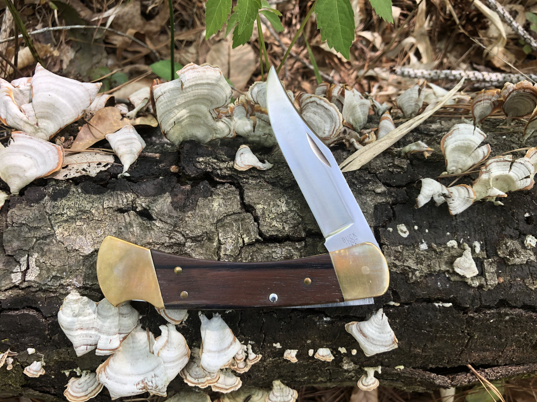 Buck-110-Three-Dot-Folding-Hunter.jpg