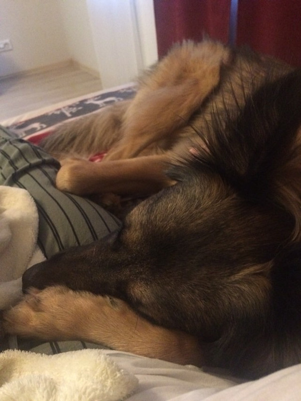 0ED2FEB2-84F6-4256-BE43-4DBC7BDDF1FC