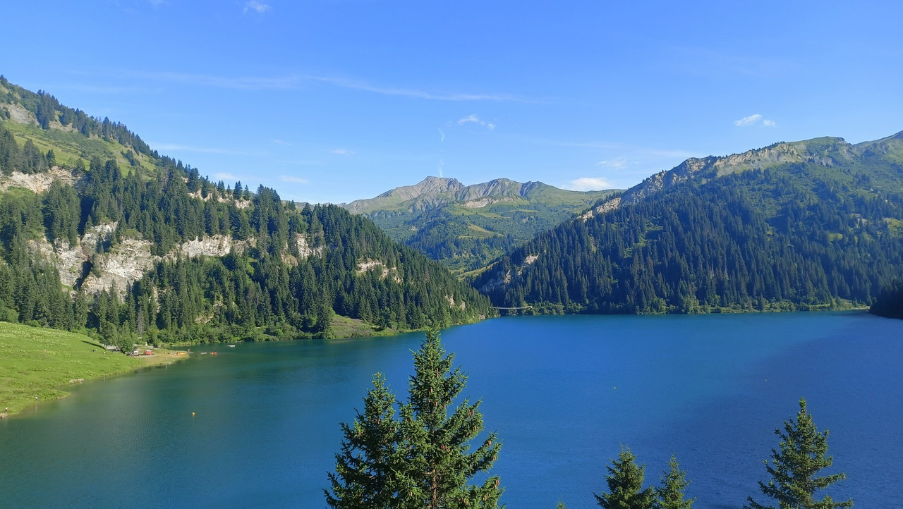 IMG20250712180649 (Large)