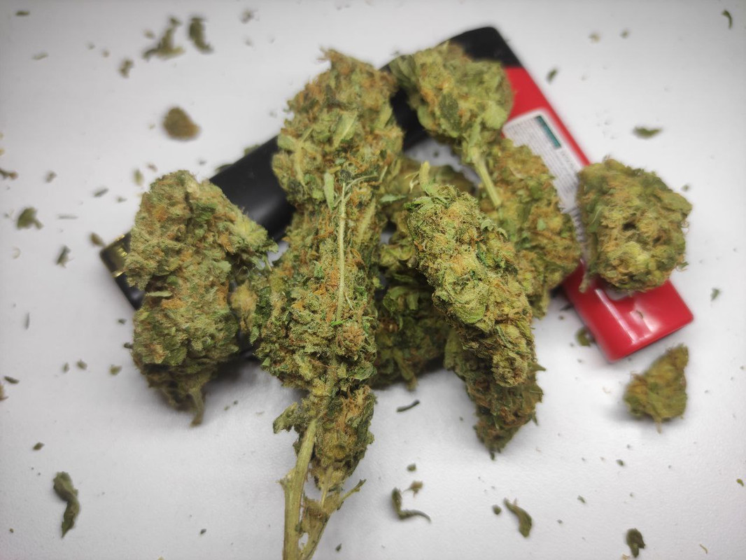 🇦🇫Afghan Kush UHQ🇦🇫
