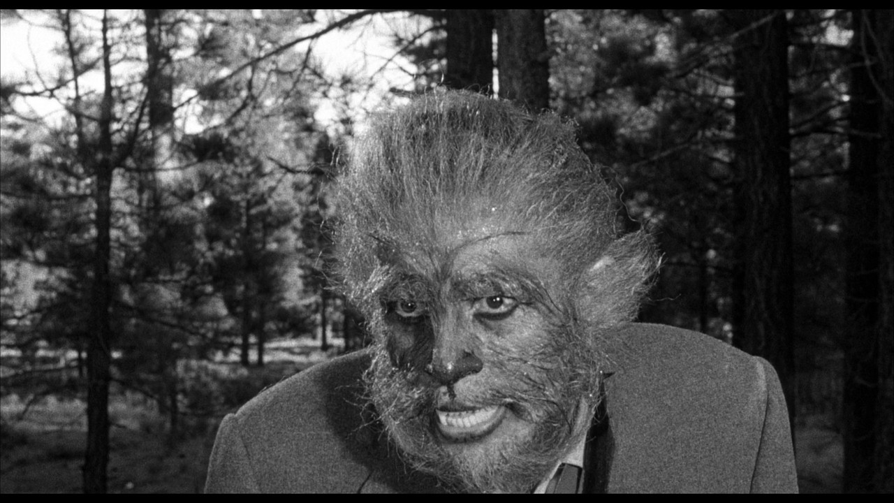 THE WEREWOLF REFERENCE (2)