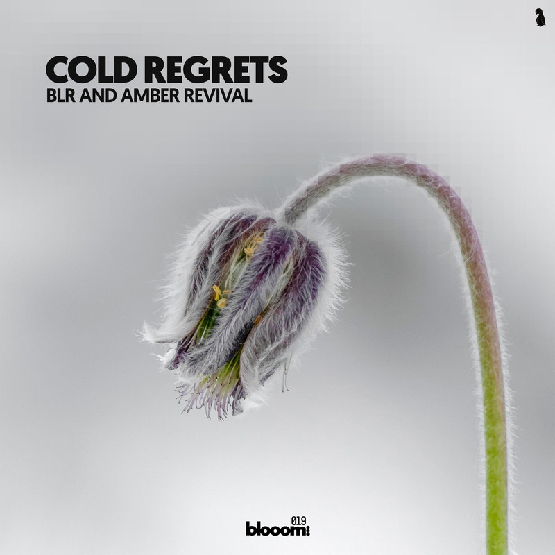 BLR, Amber Revival - Cold Regrets (Extended Mix)