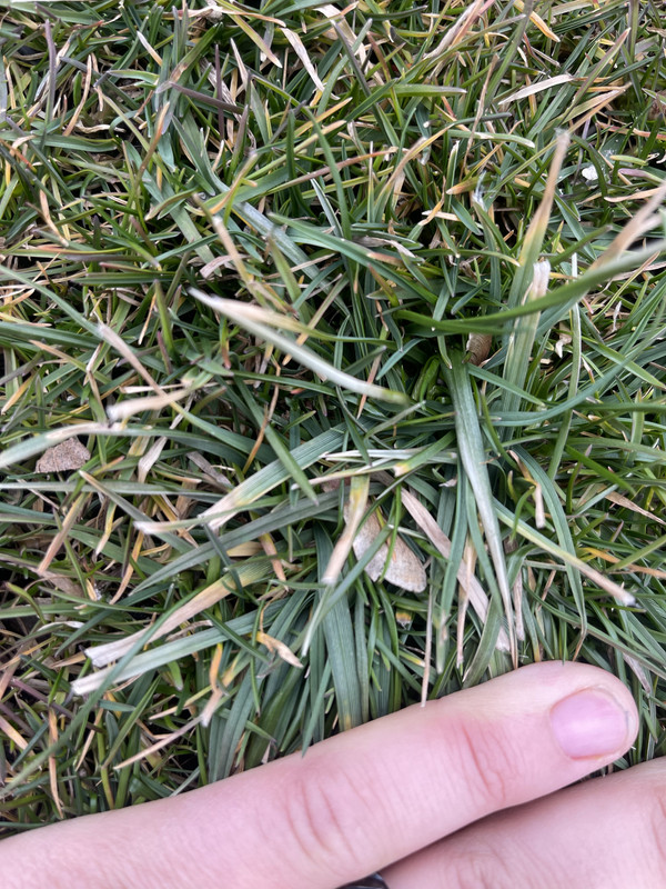 5F5B82C3-4583-44B7-BA6E-50FFEC3323B3