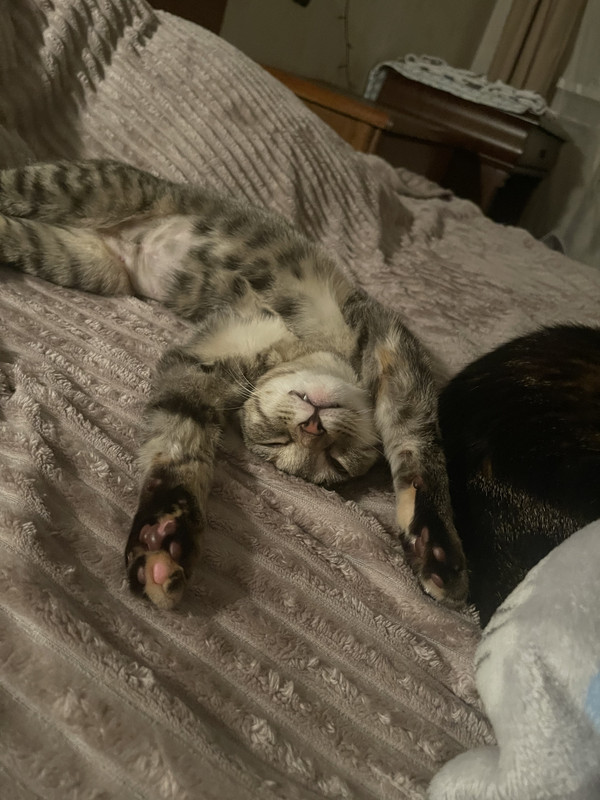 C8797F0B-E3D3-4303-9DC8-BBEE56B2DDB2