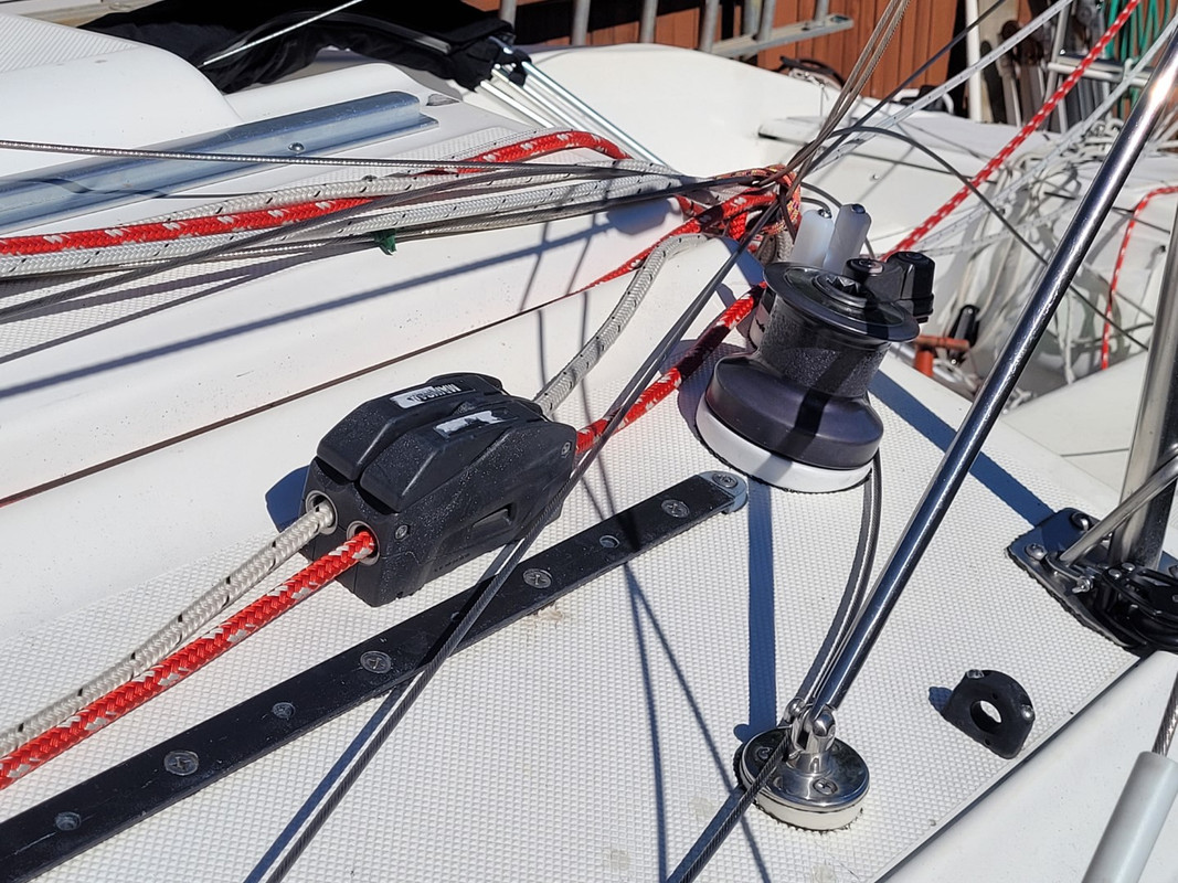 20231107_125003 (Large)