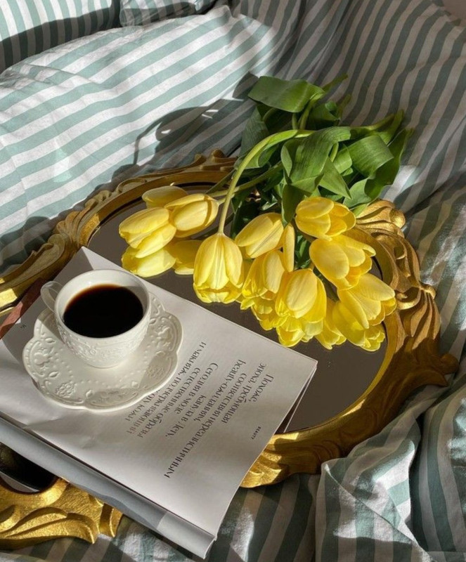 Screenshot_20240406_123956_Pinterest