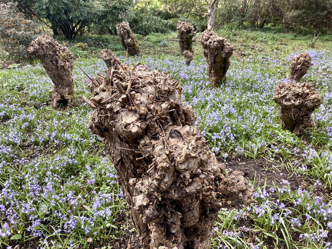 68FD3517-CA34-4475-B81B-262F9DDFCD2C