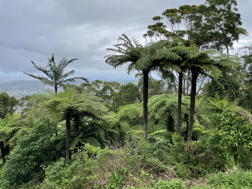 A9E0A83F-3C1B-470E-89CD-86210B69D41C