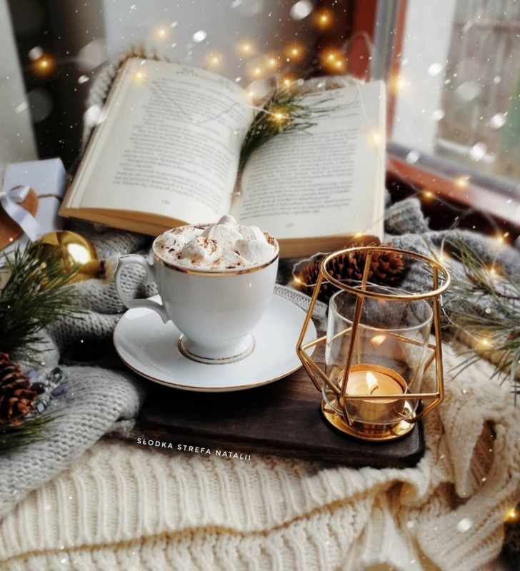 Screenshot_20231210_180227_Instagram