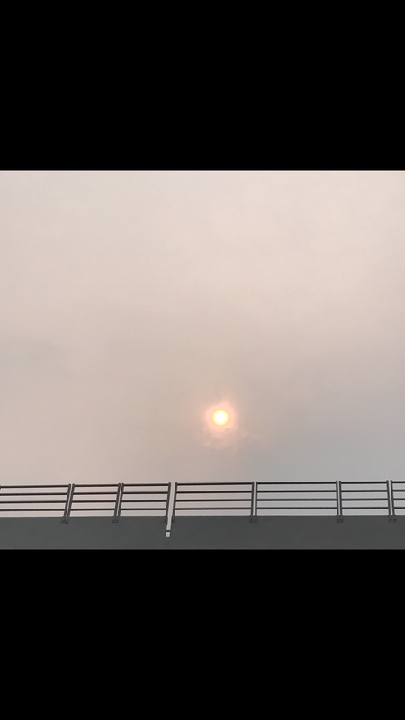 56590298-8889-4336-A670-1A4CC424DCC7