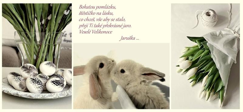 502388680-9301215469984801-5330297247479418063-n