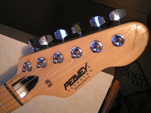 peavey3