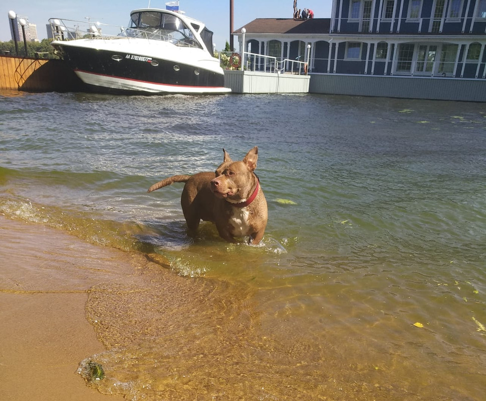 FB1EF004-DCA2-42C0-8E54-B590D6B9089B