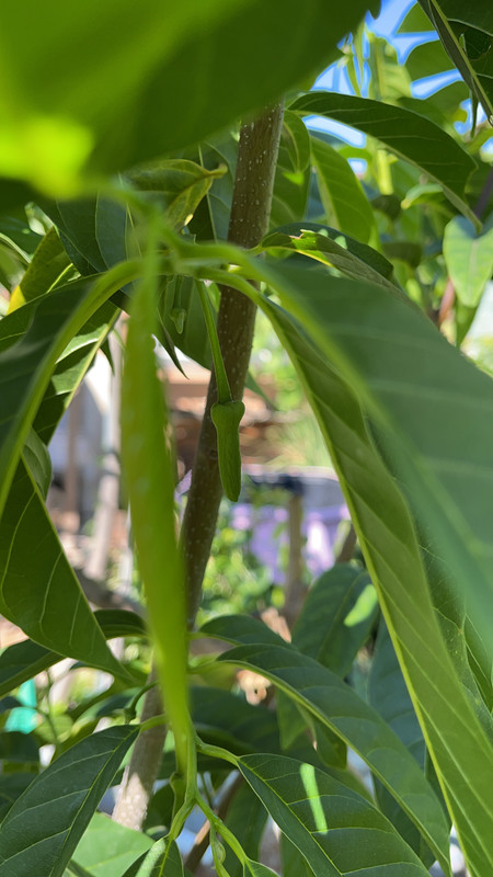 20560B55-5DF3-47F6-98E9-1A5C407D6FF7