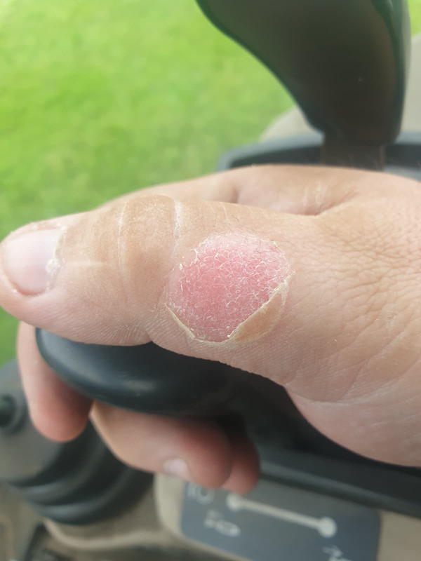 Whats App Image 2025 12 04 at 18 50 05 553ca2a8