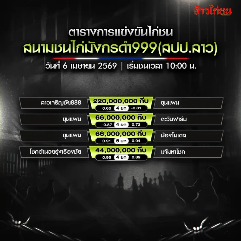 โปรแกรมไก่ชน สนามชนไก่มังกรดำ999 วันที่ 6 เมษายน 2569