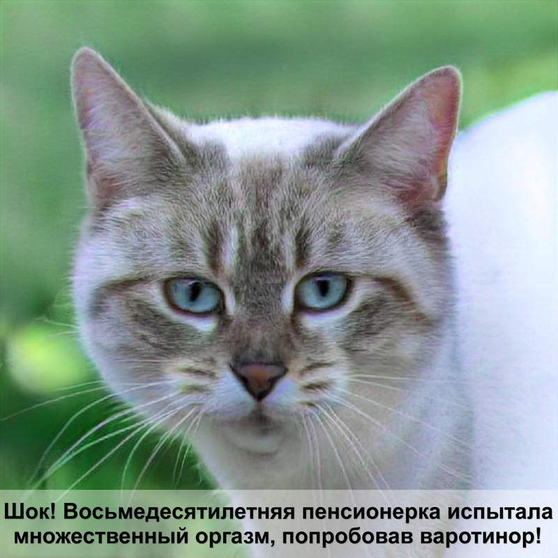 капли на холку для кошек