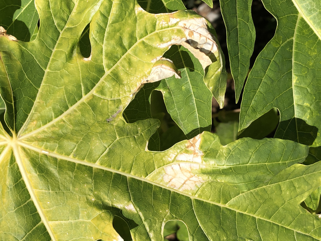 17832D5A-55ED-48F5-8C93-4758DA57378A