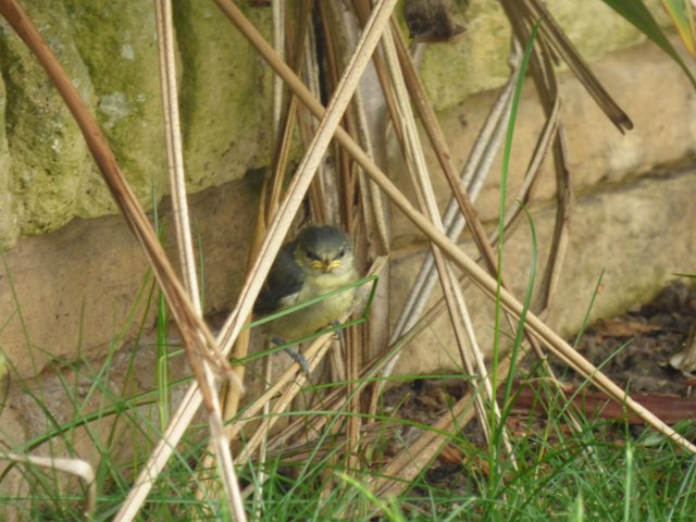 91CD4E0B-302A-473E-A604-D7C4BB3F4127