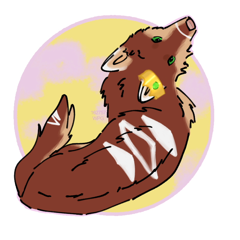 For 295726 (800x800)