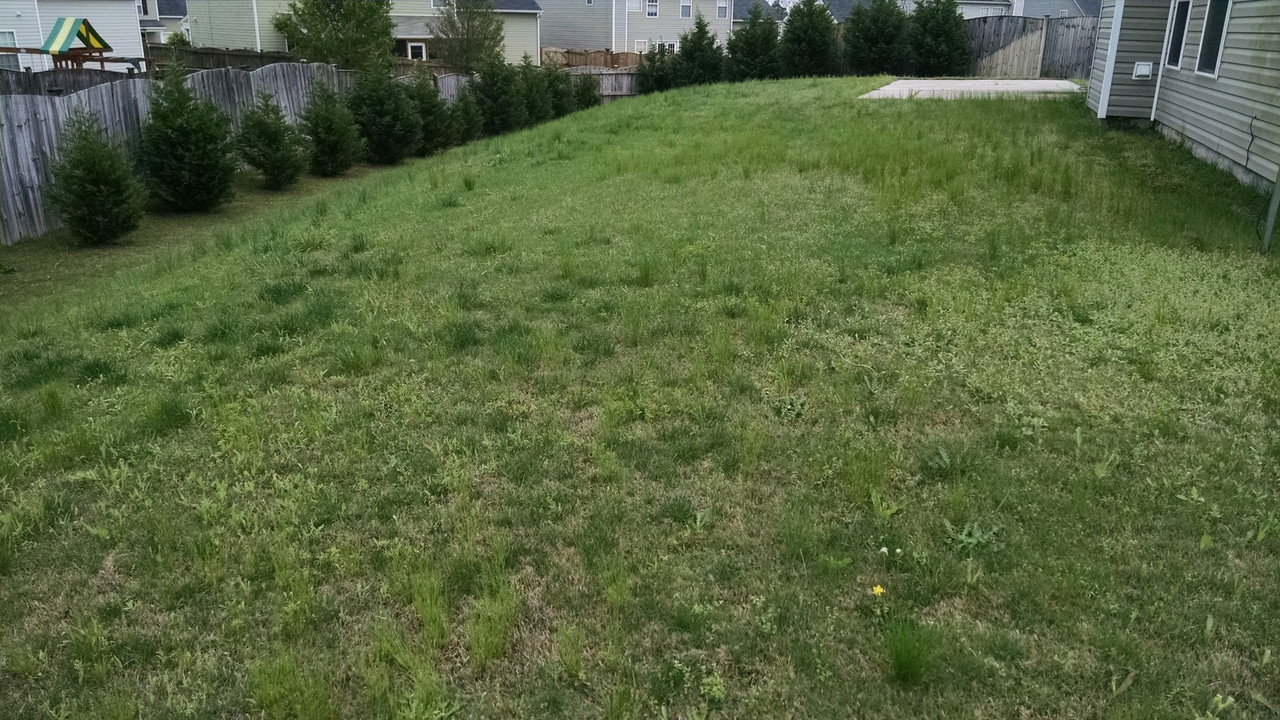 IMG_20150417_131600520