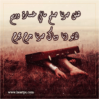 ���� ���� ������ �� ���� ������